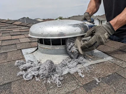 Roof Vent Cleaning in Broadview Park, FL